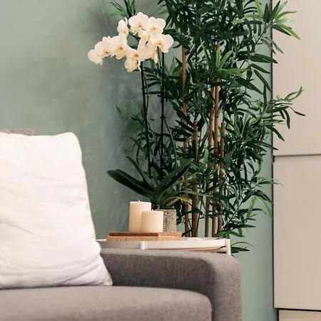 Emma Bliss Appartement